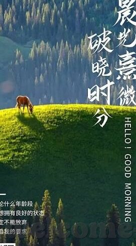 陕西足球比分-陕西足球比分，绿茵场上的荣耀与梦想交织